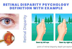 Retinal Disparity Psychology Definition with Example
