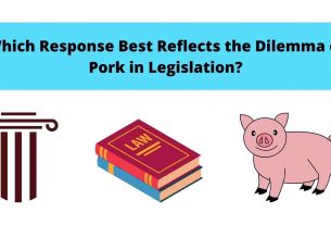 Which Response Best Reflects the Dilemma of Pork in Legislation?