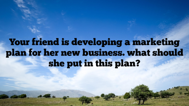 Your friend is developing a marketing plan for her new business. what should she put in this plan?